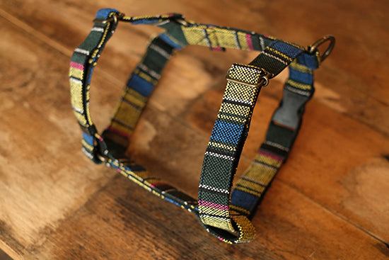 HARNESS